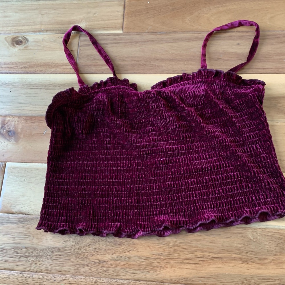 Wild Fable (Target) velvet crop top